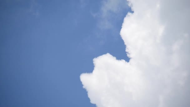 Nubes Cielo Como Fondo Abstracto Concepto Naturaleza — Vídeo de stock