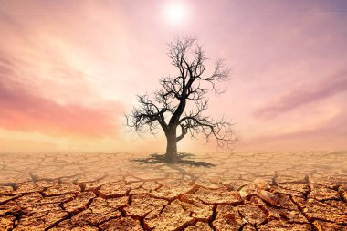 konsepti değiştir. Kuraklık bölgeleri ve parçalanmış topraklar karakterleri değiştirdi..