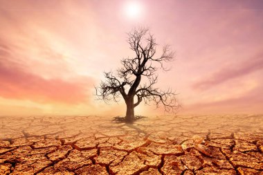 konsepti değiştir. Kuraklık bölgeleri ve parçalanmış topraklar karakterleri değiştirdi..