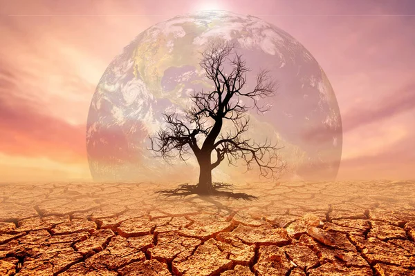 Change Concept Drought Areas Shattered Land Have Characters Change — Stock Photo, Image