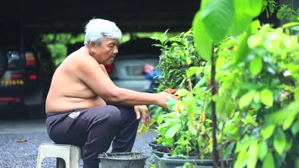 Vieil Homme Avec Des Plantes Vertes Sur Fond Nature — Video