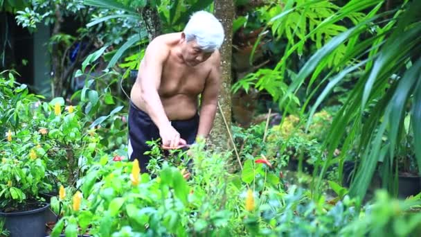 Hombre Viejo Con Plantas Verdes Fondo Naturaleza — Vídeos de Stock