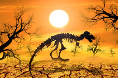 Kurak ve kurak bölgelerde dinozor iskeletleri