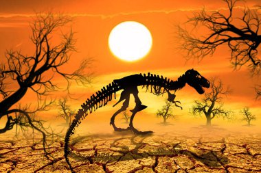 Kurak ve kurak bölgelerde dinozor iskeletleri