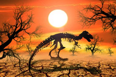 Kurak ve kurak bölgelerde dinozor iskeletleri