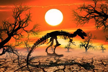 Kurak ve kurak bölgelerde dinozor iskeletleri