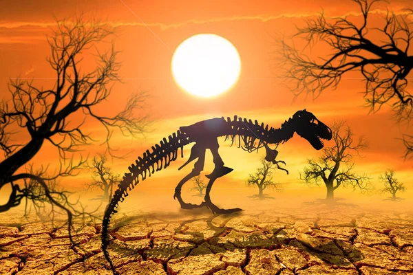 Kurak ve kurak bölgelerde dinozor iskeletleri