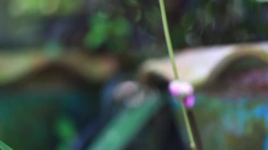 Parlak renkli güzel çiçekler tazelik verir.