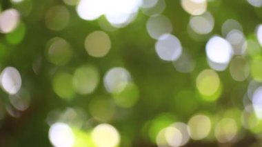 Açık mercek ışığı doğada bırakır, boşluğu kopyalar