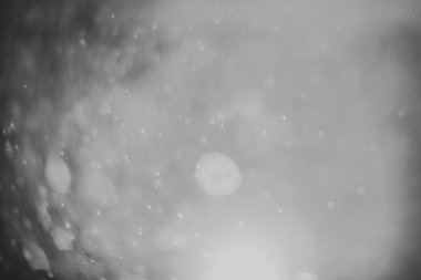 Projenizin arka planı için bulanık bir lensten Bokeh 'in siyah-beyaz görüntüsü.