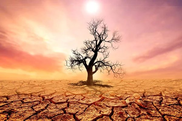 Cambiar Concepto Las Áreas Sequía Tierra Destrozada Tienen Los Personajes — Foto de Stock