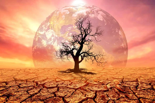 Изменить Концепцию Территории Засухи Раздробленные Земли Имеют Характерные Изменения — стоковое фото