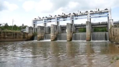 Küçük barajlar Tayland 'ın kırsal bölgelerindeki kanalları tıkıyor