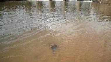 Küçük barajlar Tayland 'ın kırsal bölgelerindeki kanalları tıkıyor