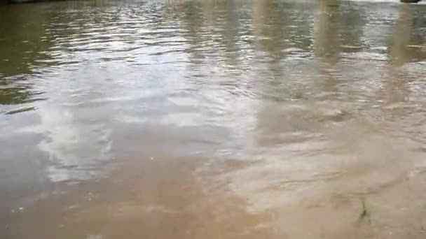 Kleine Staudämme Blockieren Kanäle Ländlichen Gebieten Thailands — Stockvideo