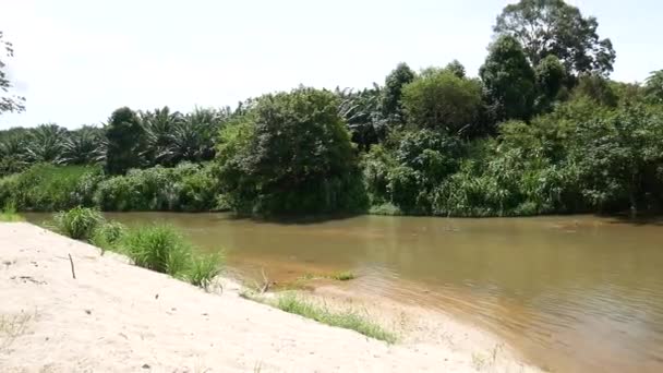 Kleine Dammen Blokkeren Kanalen Landelijke Gebieden Van Thailand — Stockvideo