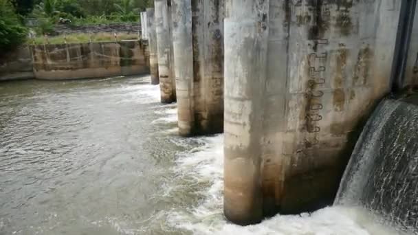 Pequenos Canais Bloqueio Barragens Para Utilização Sistemas Irrigação Agrícola Barragens — Vídeo de Stock