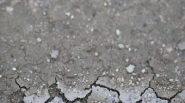 Kuraklık sırasında toprak kırılma görüntüsünü kapat