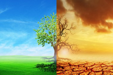 Climate change from drought to green growth. climate change withered earth. Global warming concept.A comparative picture of a dead tree and a tree as a concept of global environmental change. clipart