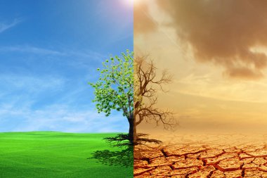 İklim değişikliği kuraklıktan yeşil büyümeye dönüştü. İklim değişikliği dünyayı soldurdu. Küresel ısınma kavramı. Küresel çevresel değişim kavramı olarak ölü bir ağaç ve bir ağacın karşılaştırmalı resmi..