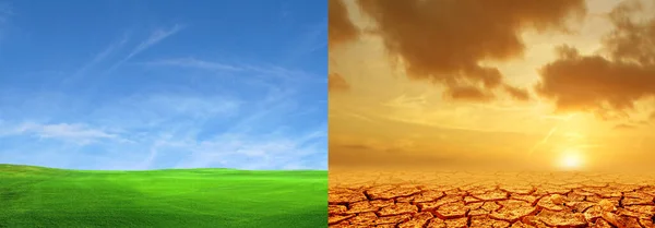 Changement Climatique Sécheresse Croissance Verte Changement Climatique Desséché Terre Concept — Photo