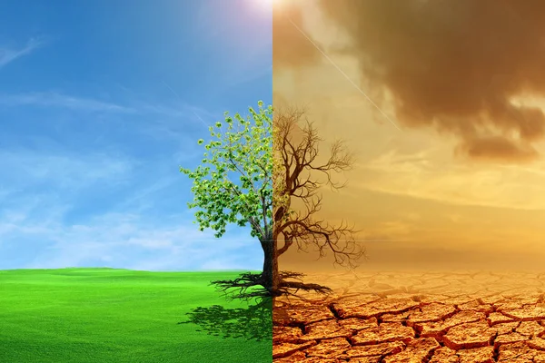 Climate Change Drought Green Growth Climate Change Withered Earth Global — Stock Photo, Image