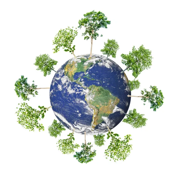 Terra Com Árvores Folhas Ilustração Planeta Globo — Fotografia de Stock