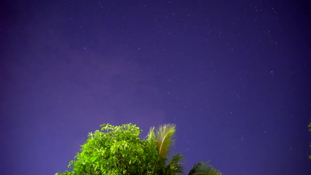 Beautiful View Night Sky Star Timelapse — Stockvideo