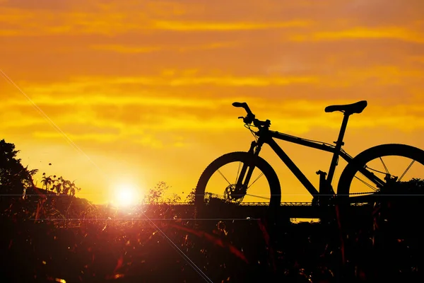 Silueta Bicicleta Noche Hermosa Bicicletas Turísticas Aparcadas Césped Por Noche — Foto de Stock