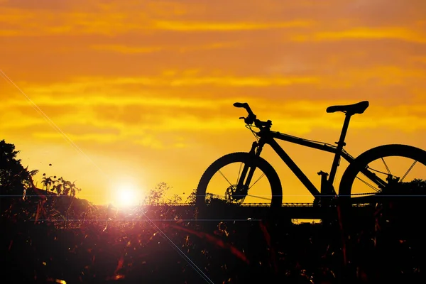 Силуэт Велосипеда Вечернее Время Прекрасен Вечером Траве Припаркованы Туристические Велосипеды — стоковое фото