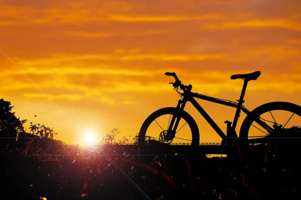Silhouette Bike Evening Beautiful Tourist Bicycles Parked Grass Evening — Stock Photo, Image