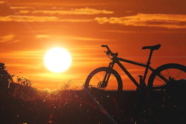 Akşamları Bisikletin Silueti Güzeldir Akşamları Çimlere Park Etmiş Turist Bisikletleri — Stok fotoğraf