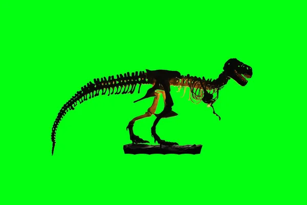Esqueleto Dinosaurio Sobre Fondo Color Con Ruta Recorte — Foto de Stock