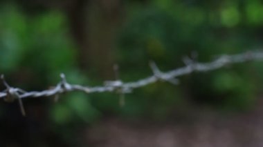 Sınır çizimi için tehlikeli derecede keskin dikenli telleri yakın plan çek