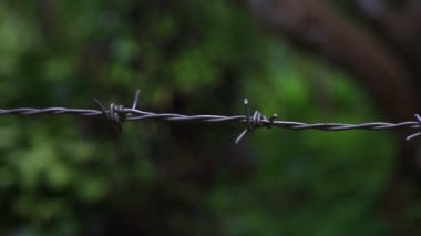 Sınır çizimi için tehlikeli derecede keskin dikenli telleri yakın plan çek