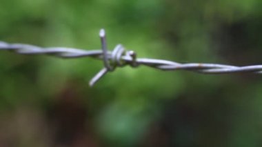 Sınır çizimi için tehlikeli derecede keskin dikenli telleri yakın plan çek