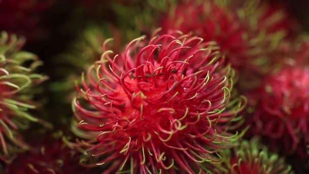 Frutas Rojas Sanas Rambutans Venta Tailandia — Vídeo de stock