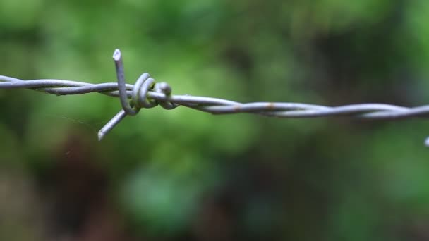 Nahaufnahme Von Gefährlich Scharfem Stacheldraht Zur Grenzziehung — Stockvideo