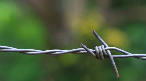 Συρματόπλεγμα Αλυσίδα Θολή Βάση — Φωτογραφία Αρχείου