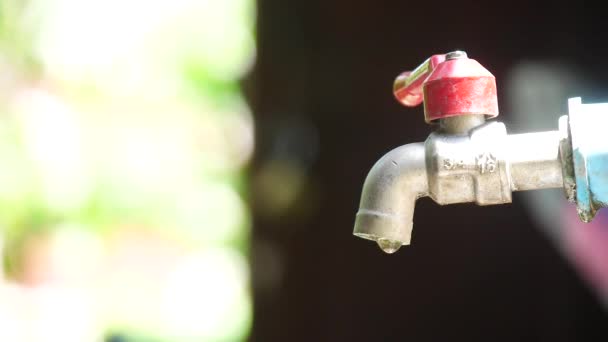 Closeup Video Faucet Running Water Water Energy Saving Concept — Stock Video