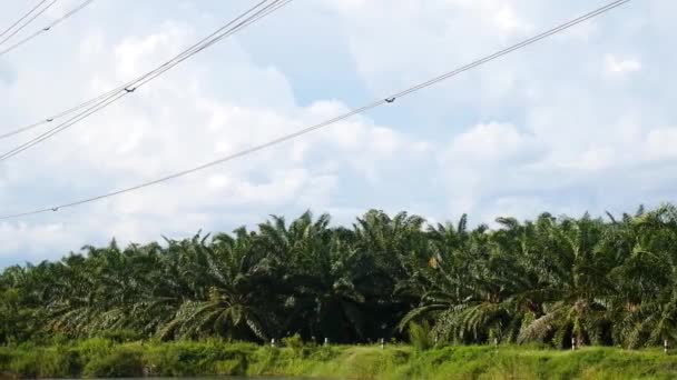 由位于泰国农村的复杂钢架建造的高压输电塔 — 图库视频影像