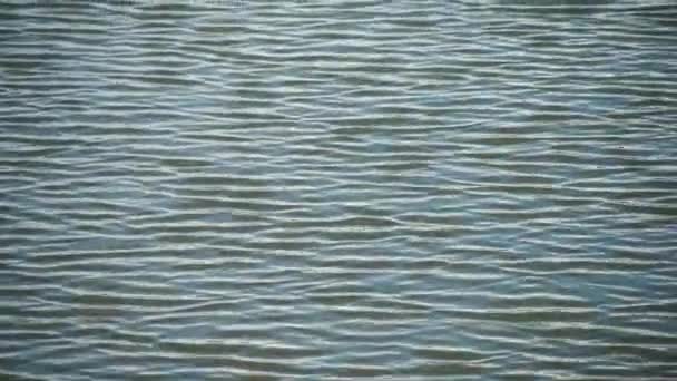 Поверхность Водных Волн Природе Использования Качестве Фона — стоковое видео