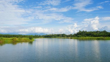 Gölün güzel bir manzarası var. Büyük göletin güzel bir manzarası var..