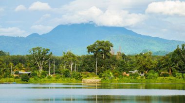 Gölün güzel bir manzarası var. Büyük göletin güzel bir manzarası var..