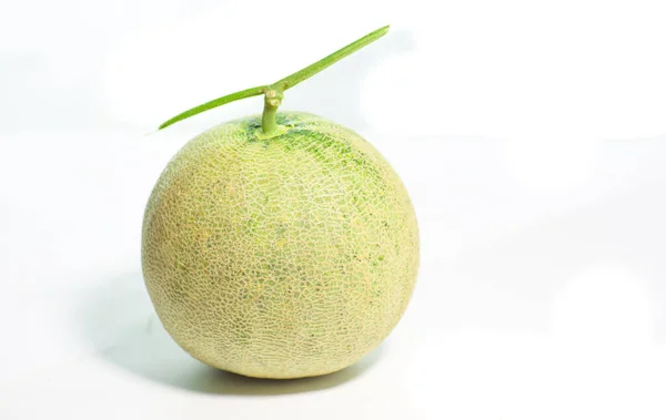 Melones Sobre Fondo Blanco —  Fotos de Stock