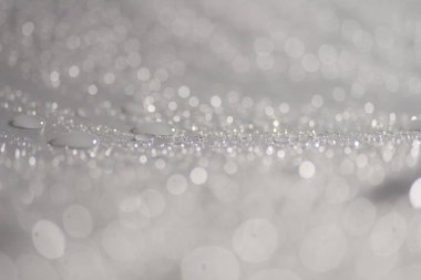Su damlacıkları ve bulanık lensler tarafından oluşturulan Bokeh 'in soyut arkaplanı.