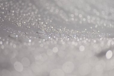 Su damlacıkları ve bulanık lensler tarafından oluşturulan Bokeh 'in soyut arkaplanı.