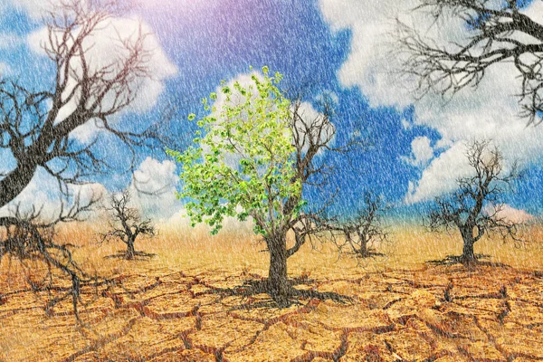 Raining in the arid land, there are trees that survive with green leaves. Concept of drought and global warming