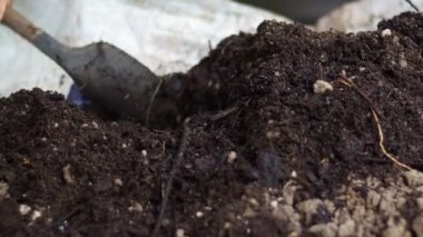 Kürekle toprak yığınını kapat.