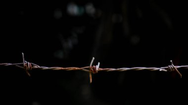 Siyah arka planda pas olan eski dikenli teller.